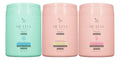 Zap 03 Kit Máscara Babosa + Trigo + Rosa Mosqueta - 3x950g