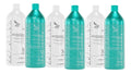 Zap 03 Kit All Time Organic - 6x1l