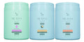 Zap 03 Kit Máscara Argan + Óleo De Coco + Mandioca - 3x950g