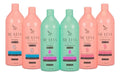 Zap Sh E Con Kits Biotina + Hialurônico + Rosa Mosqueta 6x1l